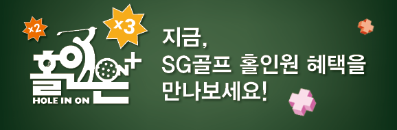 홀인온플러스